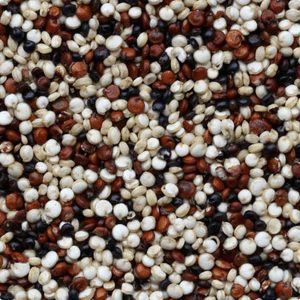 Quinoa_Square_300x